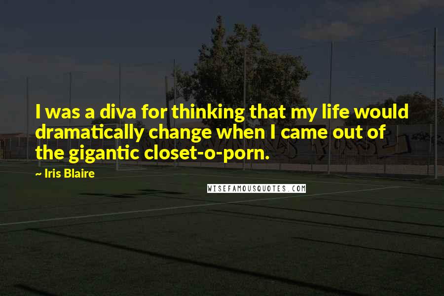 Iris Blaire quotes: I was a diva for thinking that my life would dramatically change when I came out of the gigantic closet-o-porn.