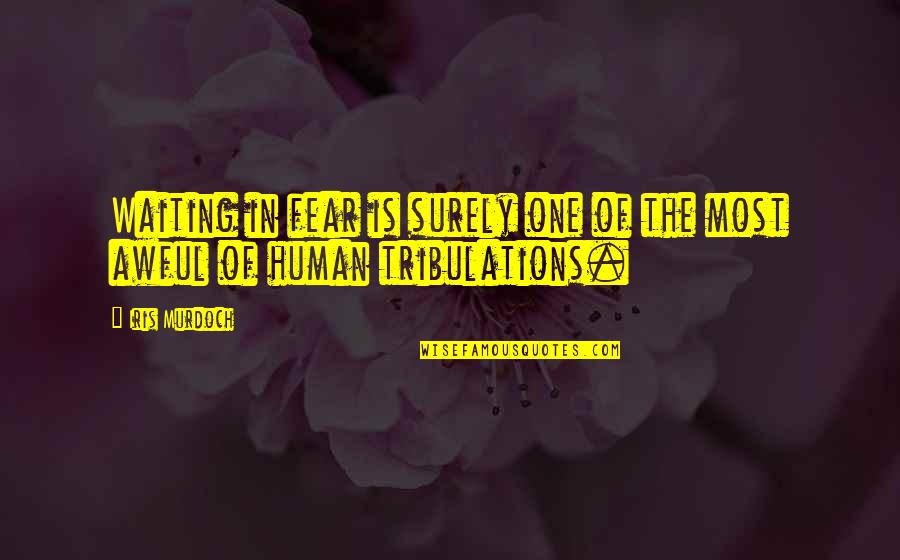 Iris Murdoch Quotes By Iris Murdoch: Waiting in fear is surely one of the