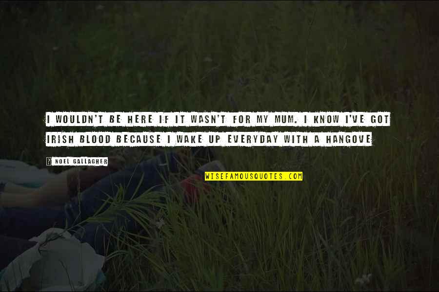 Irish Blood Quotes By Noel Gallagher: I wouldn't be here if it wasn't for
