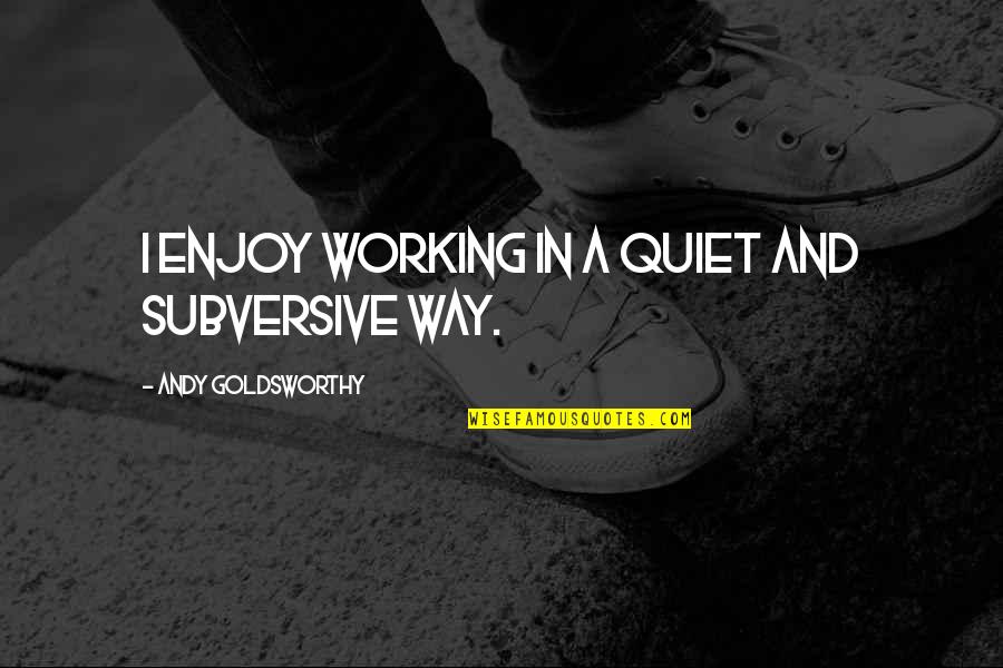 Irish Dance Motivation Quotes By Andy Goldsworthy: I enjoy working in a quiet and subversive Irish Dance Motivation Quotes By Andy Goldsworthy: I enjoy working in a quiet and subversive