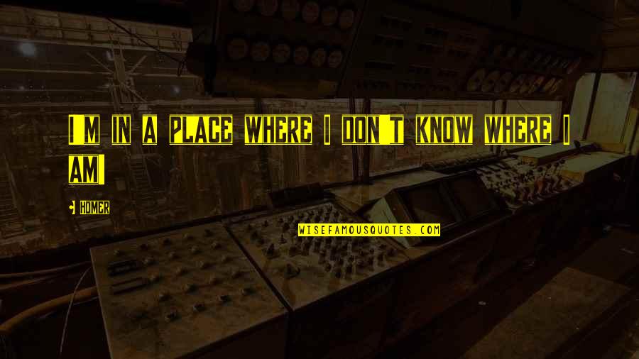 Irish Folk Music Quotes By Homer: I'm in a place where I don't know