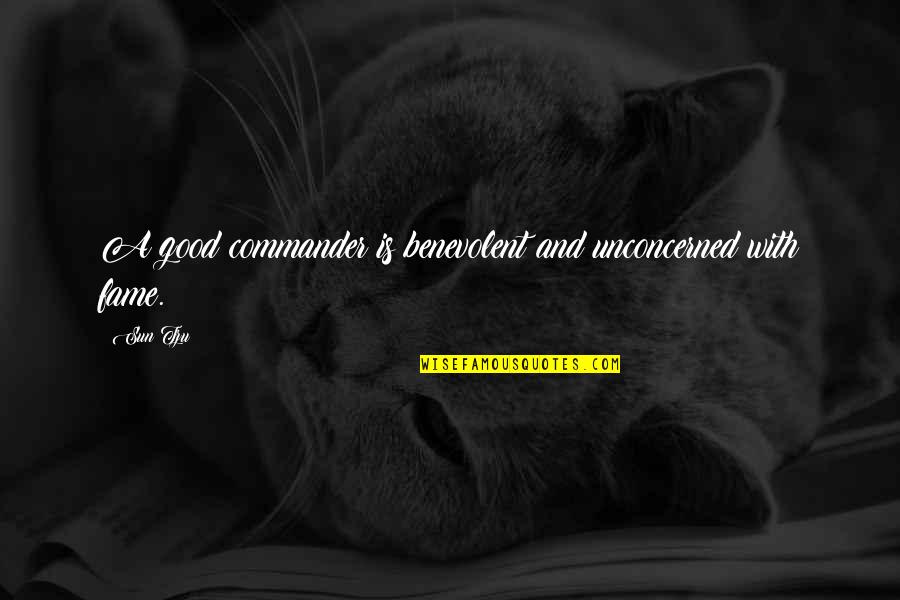 Irish Hospitality Quotes By Sun Tzu: A good commander is benevolent and unconcerned with