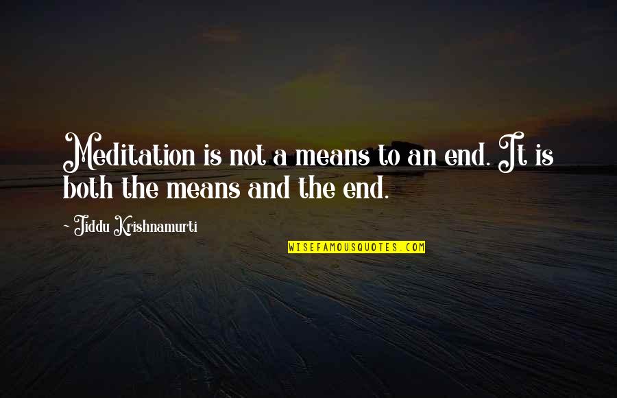 Irish Independence Quotes By Jiddu Krishnamurti: Meditation is not a means to an end.