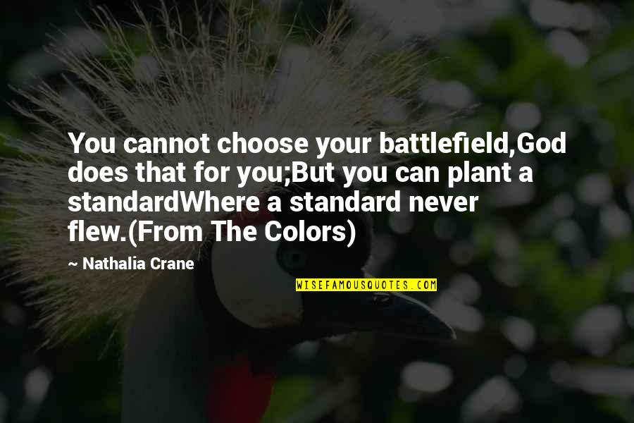 Irish Rainbow Quotes By Nathalia Crane: You cannot choose your battlefield,God does that for