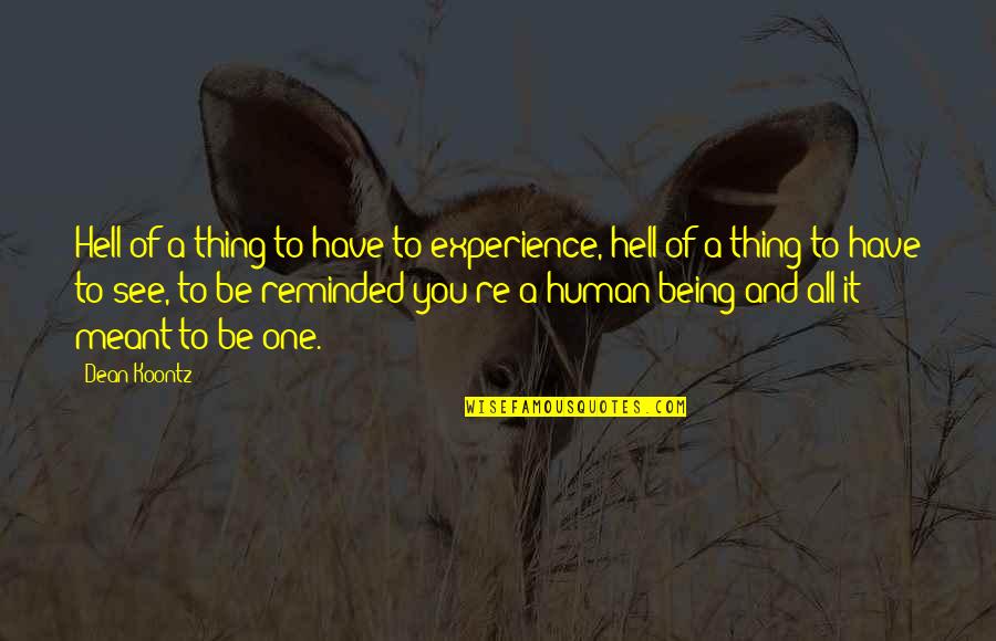 Irish Stereotype Quotes By Dean Koontz: Hell of a thing to have to experience, Irish Stereotype Quotes By Dean Koontz: Hell of a thing to have to experience,