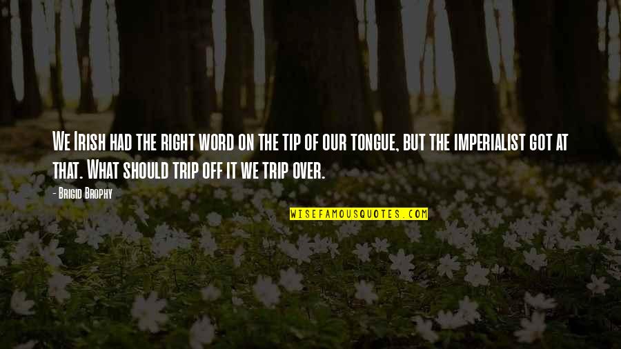 Irish Words And Quotes By Brigid Brophy: We Irish had the right word on the