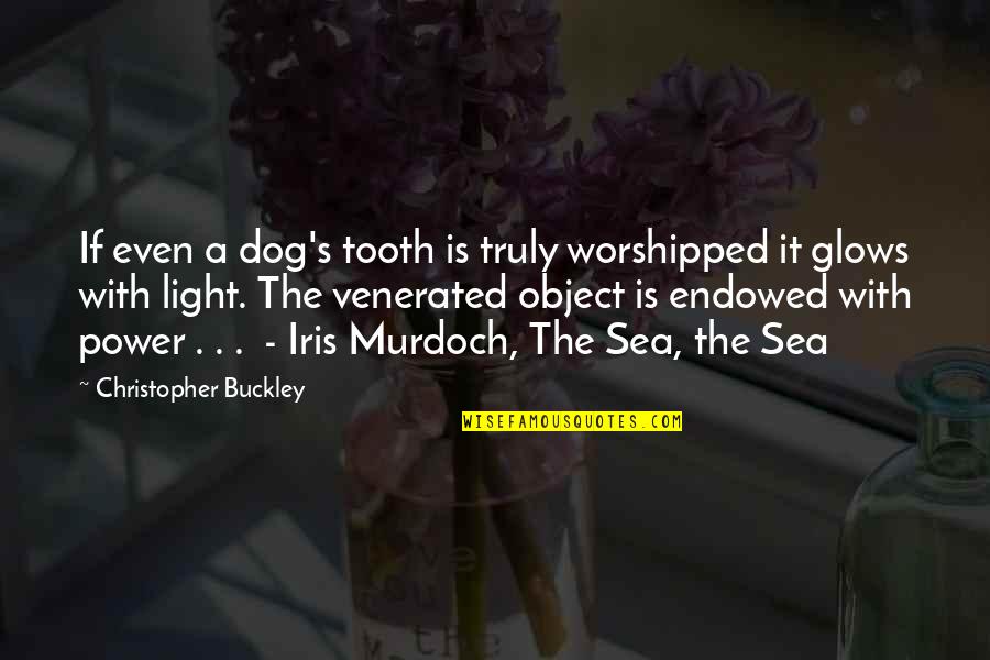 Iris's Quotes By Christopher Buckley: If even a dog's tooth is truly worshipped