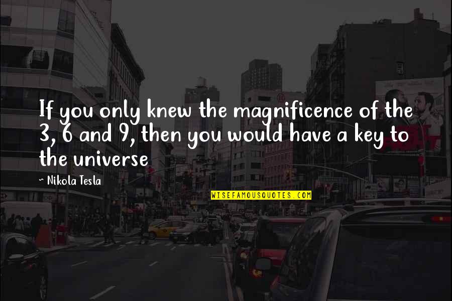 Irking My Nerves Quotes By Nikola Tesla: If you only knew the magnificence of the