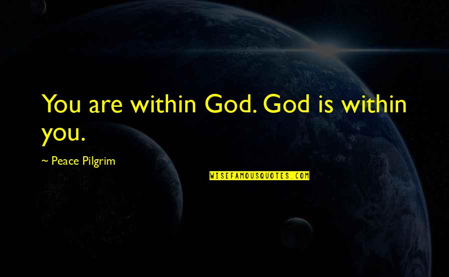 Iron Kissed Quotes By Peace Pilgrim: You are within God. God is within you.