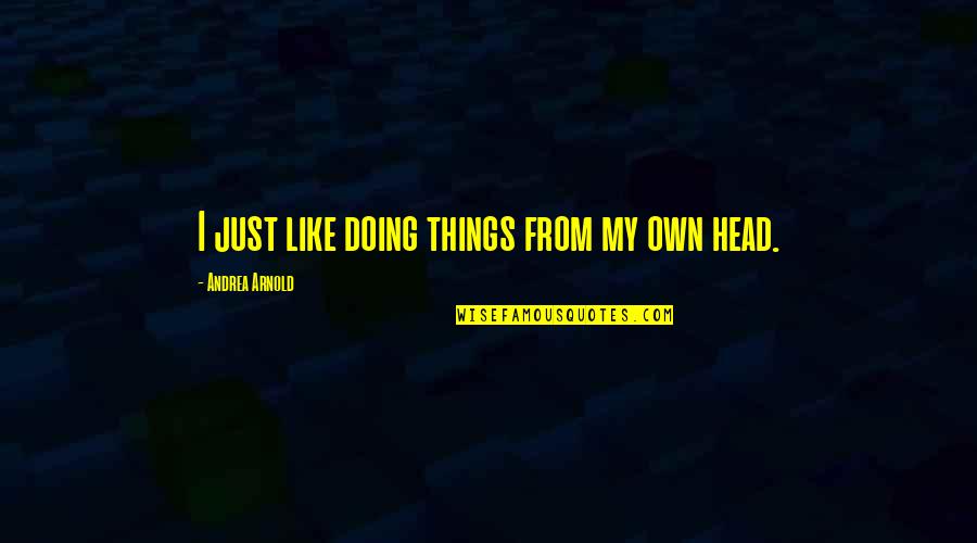 Iron Man Extremis Quotes By Andrea Arnold: I just like doing things from my own