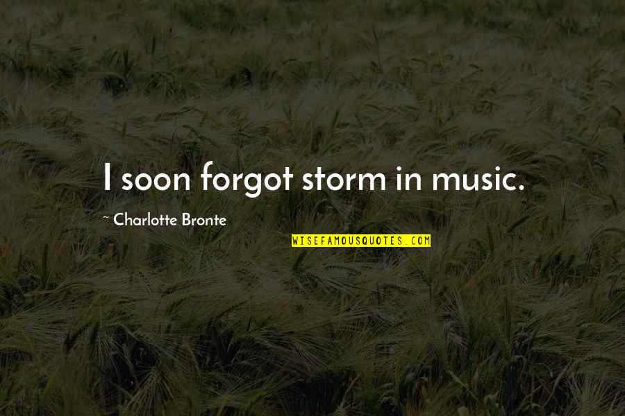Iron On Transfers Quotes By Charlotte Bronte: I soon forgot storm in music.