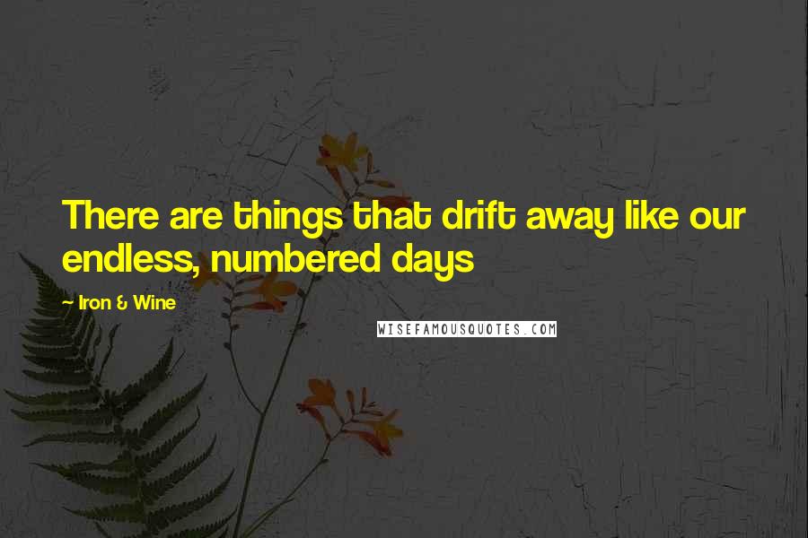 Iron & Wine quotes: There are things that drift away like our endless, numbered days