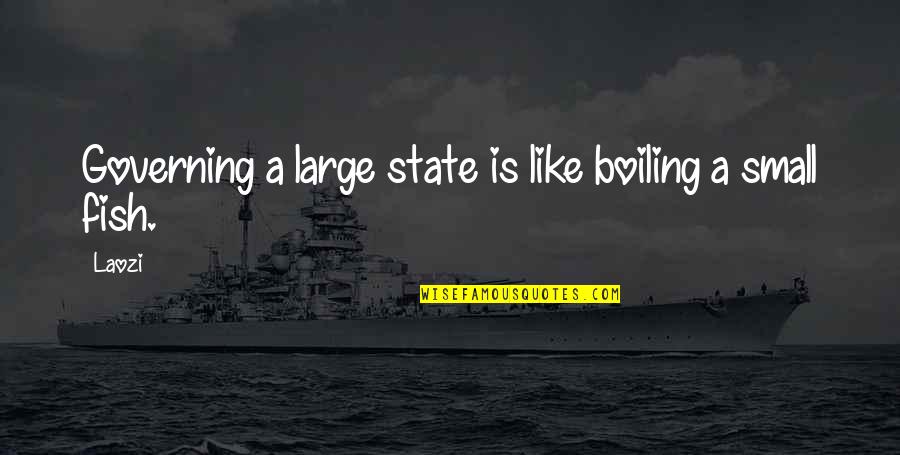 Ironic Situations Quotes By Laozi: Governing a large state is like boiling a