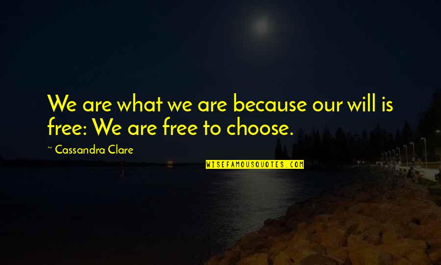 Ironized Rock Quotes By Cassandra Clare: We are what we are because our will