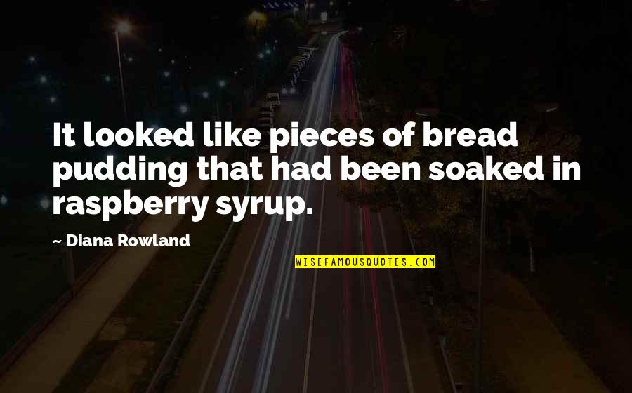 Irony And Humor Quotes By Diana Rowland: It looked like pieces of bread pudding that