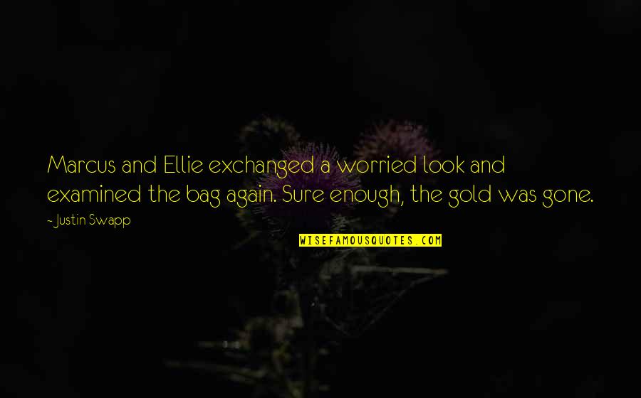 Irony And Humor Quotes By Justin Swapp: Marcus and Ellie exchanged a worried look and