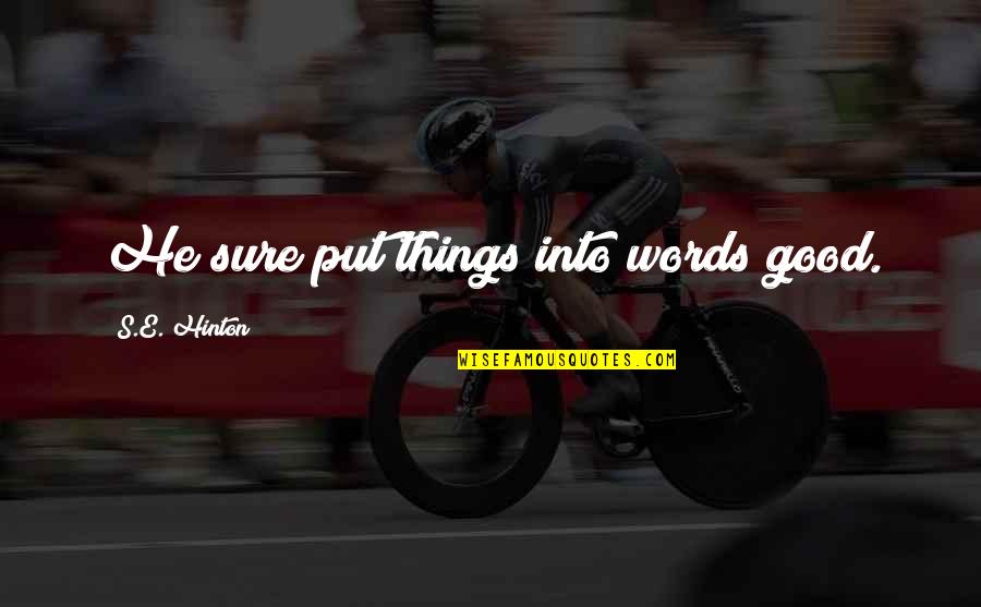 Irony And Humor Quotes By S.E. Hinton: He sure put things into words good.
