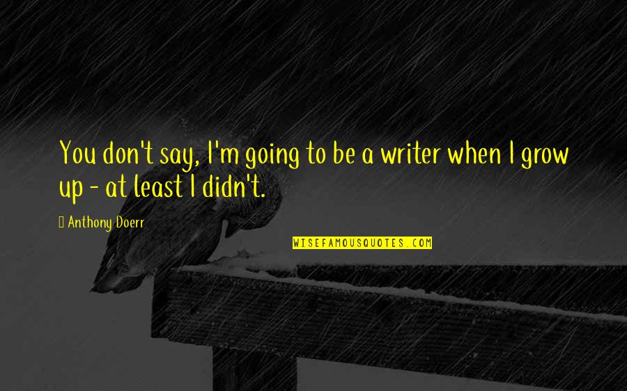 Irony In Lord Of The Flies Quotes By Anthony Doerr: You don't say, I'm going to be a