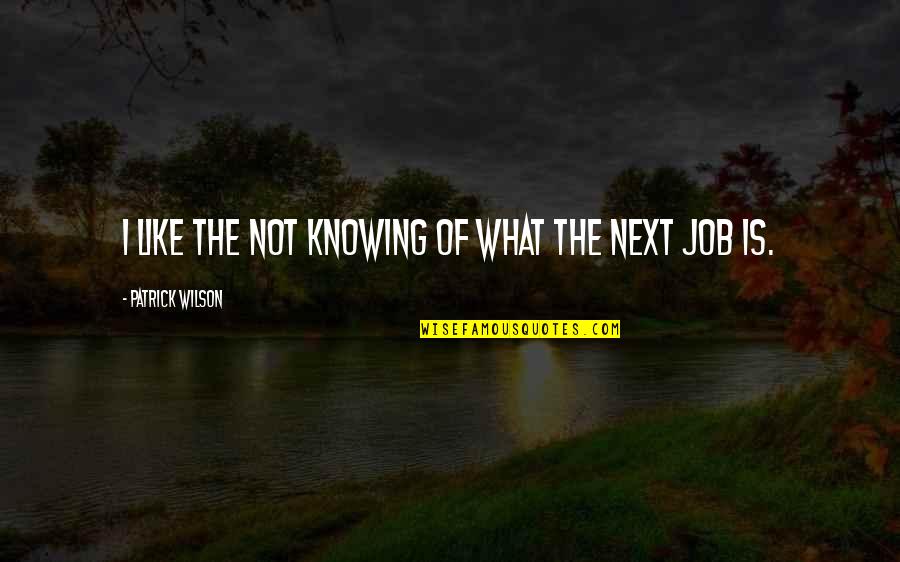 Irony Of Situation Quotes By Patrick Wilson: I like the not knowing of what the Irony Of Situation Quotes By Patrick Wilson: I like the not knowing of what the