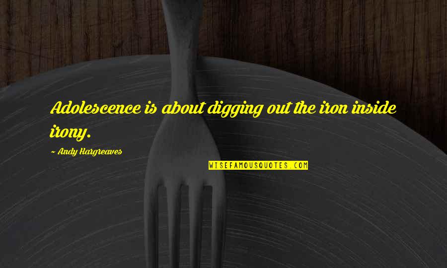 Irony Quotes By Andy Hargreaves: Adolescence is about digging out the iron inside