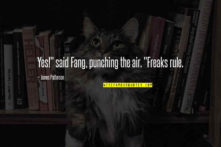 Irony Reality Quotes By James Patterson: Yes!" said Fang, punching the air. "Freaks rule.