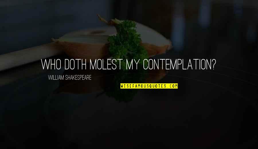 Irony Shakespeare Quotes By William Shakespeare: Who doth molest my contemplation? Irony Shakespeare Quotes By William Shakespeare: Who doth molest my contemplation?