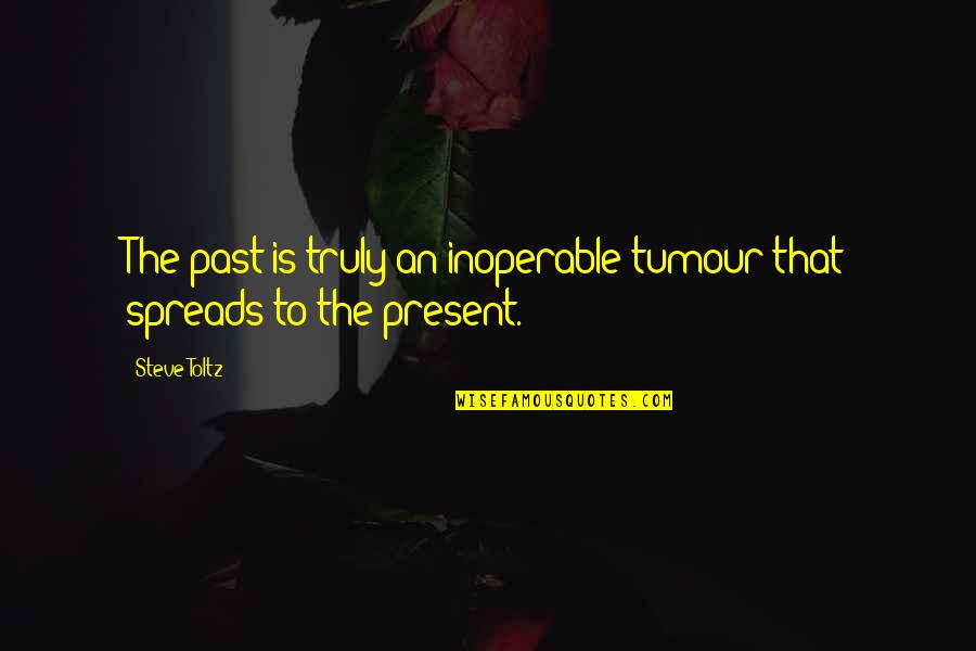 Irrationale Vergelijkingen Quotes By Steve Toltz: The past is truly an inoperable tumour that