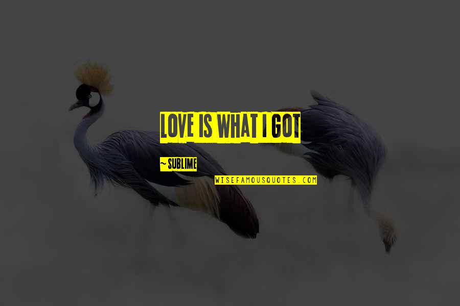 Irrationality Book Quotes By Sublime: Love Is What I Got Irrationality Book Quotes By Sublime: Love Is What I Got