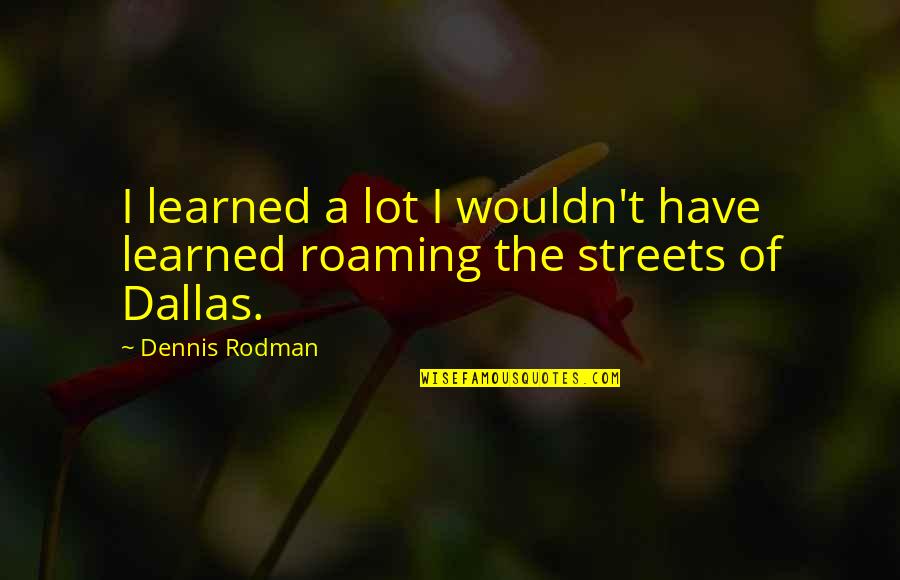 Irreale Konditionalsatz Quotes By Dennis Rodman: I learned a lot I wouldn't have learned