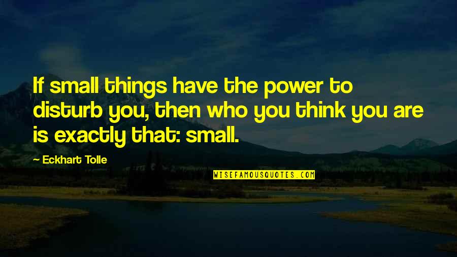 Irreconcilable Differences Memorable Quotes By Eckhart Tolle: If small things have the power to disturb