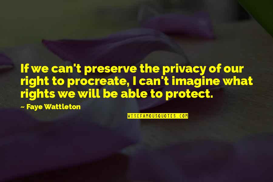Irreducibility Quotes By Faye Wattleton: If we can't preserve the privacy of our