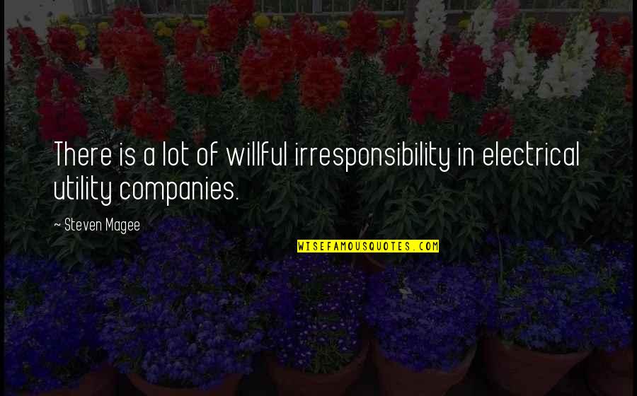 Irresponsibility Quotes By Steven Magee: There is a lot of willful irresponsibility in