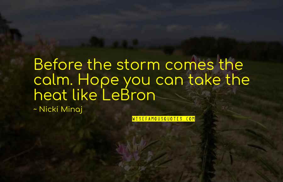 Irresponsible People Quotes By Nicki Minaj: Before the storm comes the calm. Hope you