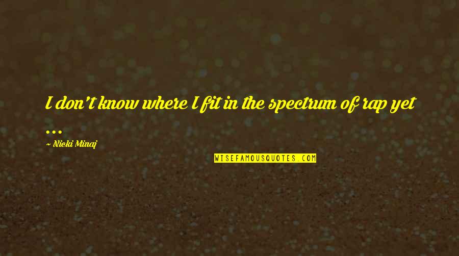 Irreverently Quotes By Nicki Minaj: I don't know where I fit in the