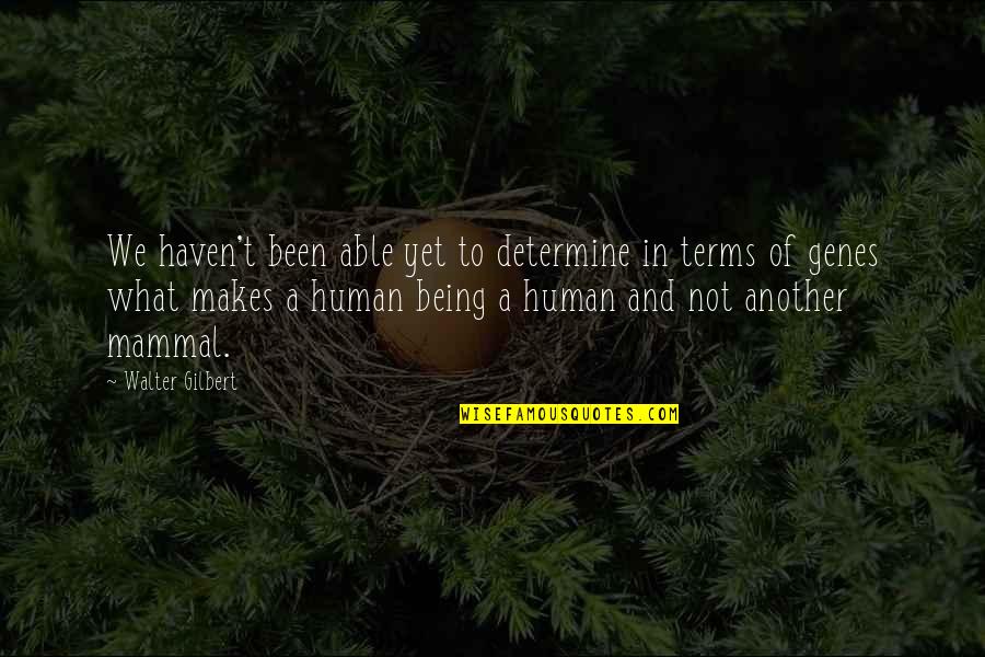 Irreversibility Equation Quotes By Walter Gilbert: We haven't been able yet to determine in