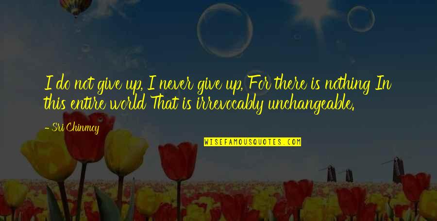 Irrevocably Quotes By Sri Chinmoy: I do not give up, I never give