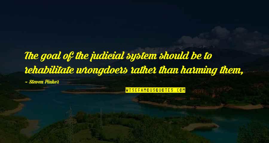 Irrigators Quotes By Steven Pinker: The goal of the judicial system should be