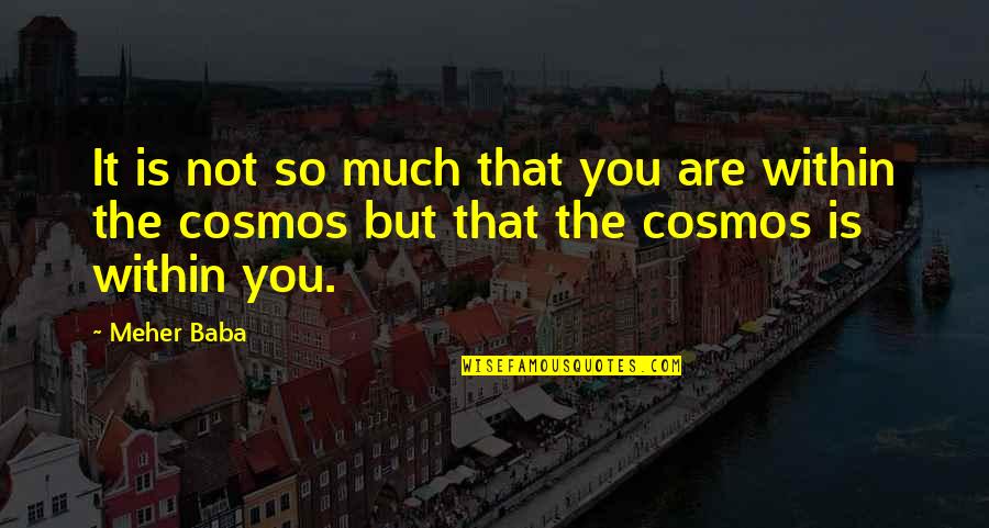 Irrisorio Sinonimo Quotes By Meher Baba: It is not so much that you are