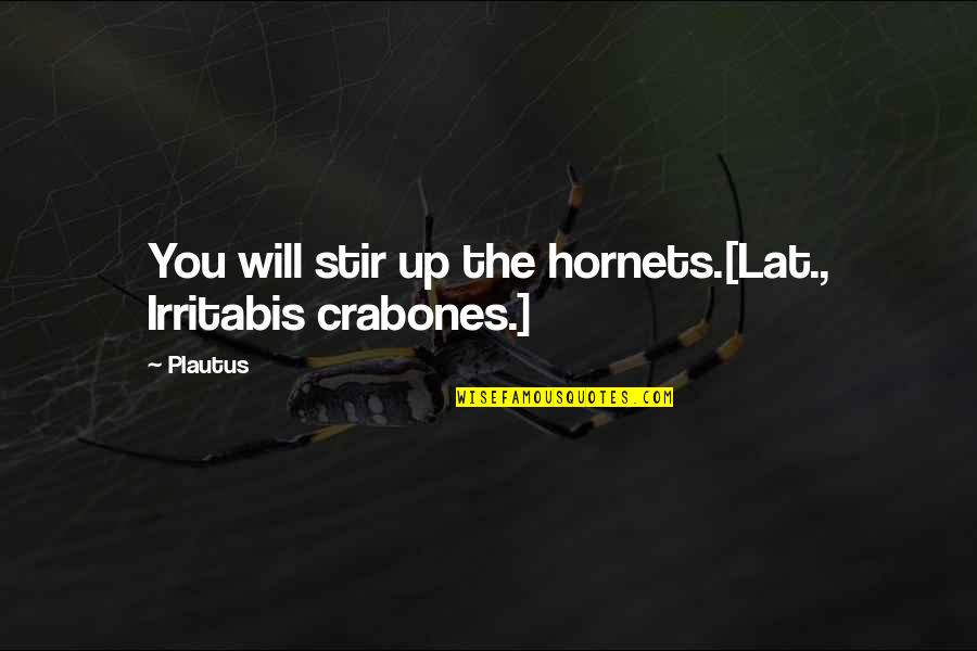 Irritabis Quotes By Plautus: You will stir up the hornets.[Lat., Irritabis crabones.]