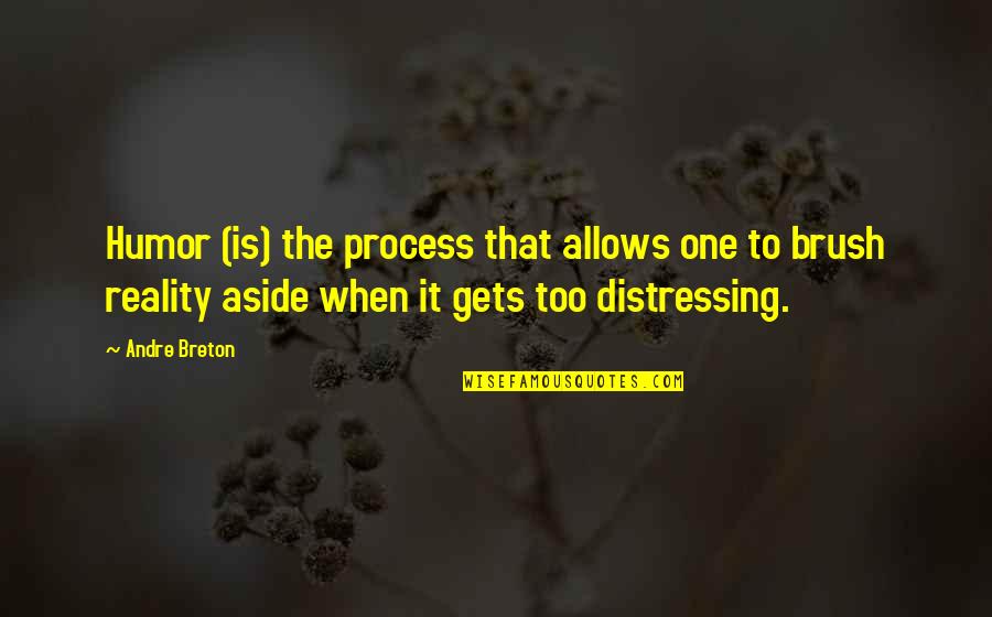 Irritably Answers Quotes By Andre Breton: Humor (is) the process that allows one to Irritably Answers Quotes By Andre Breton: Humor (is) the process that allows one to