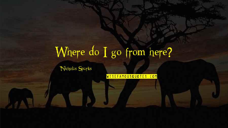Irritante Liedjes Quotes By Nicholas Sparks: Where do I go from here?