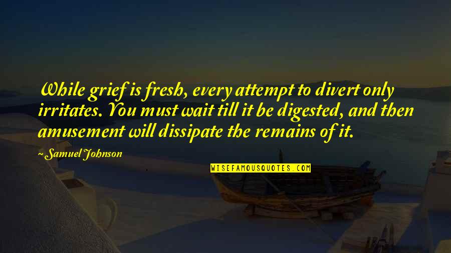 Irritates Quotes By Samuel Johnson: While grief is fresh, every attempt to divert