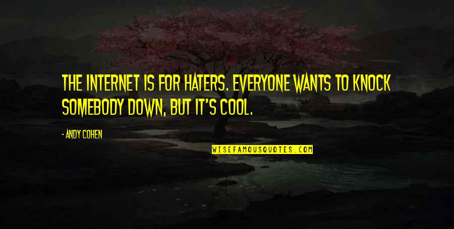 Irritating Coworkers Quotes By Andy Cohen: The Internet is for haters. Everyone wants to