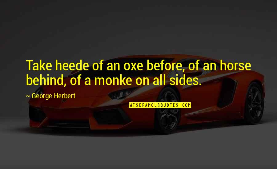 Irritating Moment Quotes By George Herbert: Take heede of an oxe before, of an