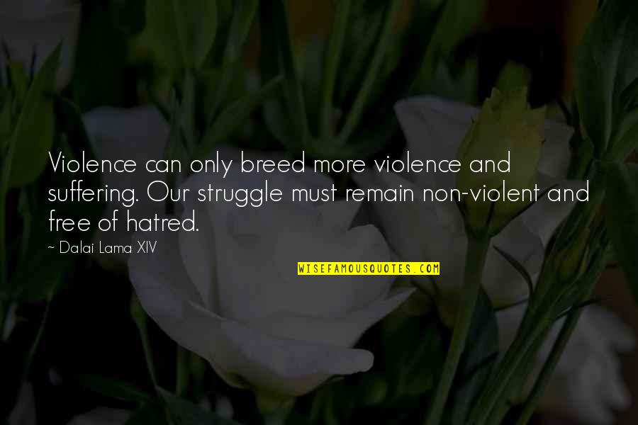 Irritating Peoples Quotes By Dalai Lama XIV: Violence can only breed more violence and suffering.