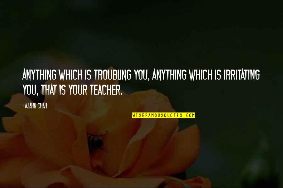 Irritating Quotes By Ajahn Chah: Anything which is troubling you, anything which is Irritating Quotes By Ajahn Chah: Anything which is troubling you, anything which is