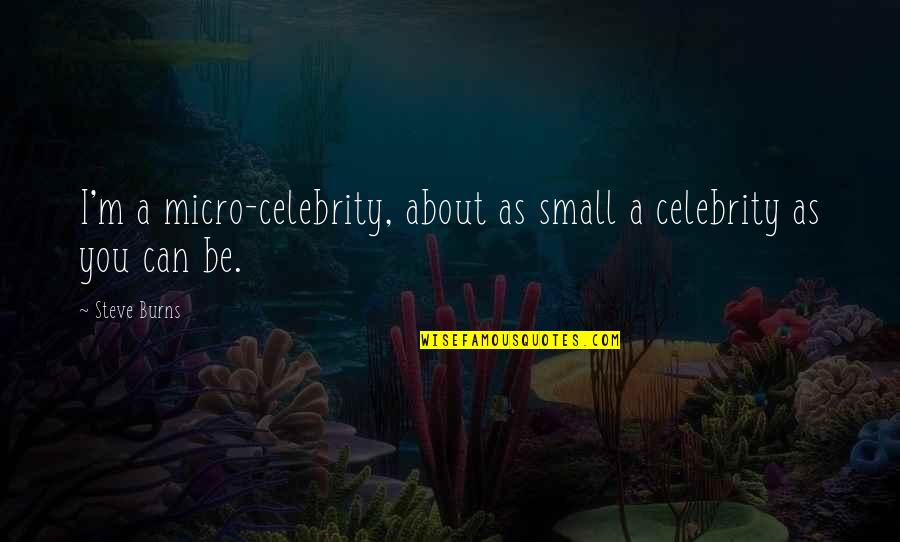 Irritating Your Best Friend Quotes By Steve Burns: I'm a micro-celebrity, about as small a celebrity