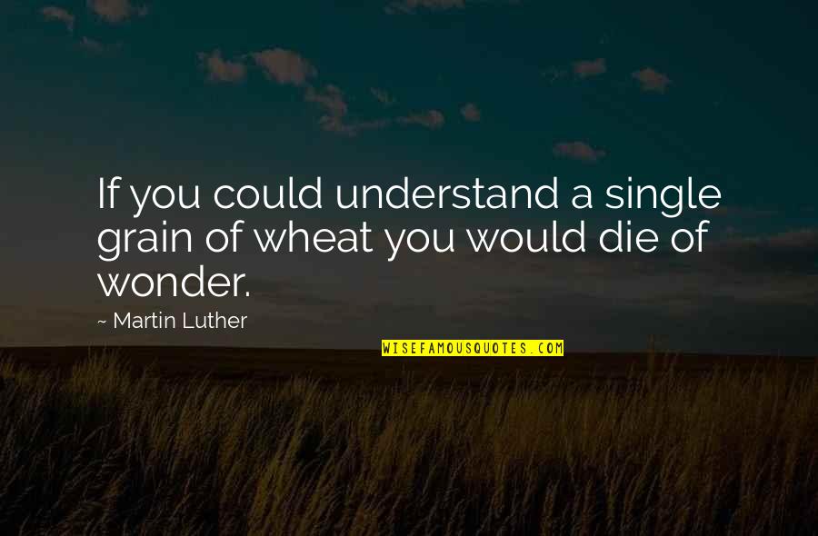 Irritatingly Quotes By Martin Luther: If you could understand a single grain of