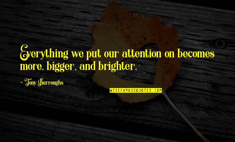 Irruption Birds Quotes By Tony Burroughs: Everything we put our attention on becomes more,