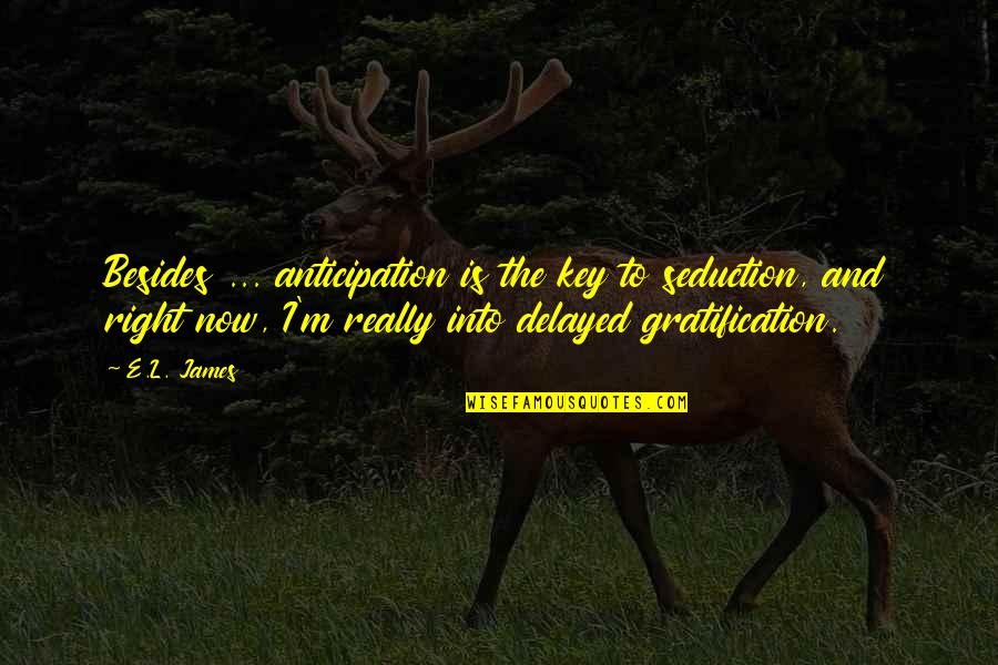Irs Humor Quotes By E.L. James: Besides ... anticipation is the key to seduction,